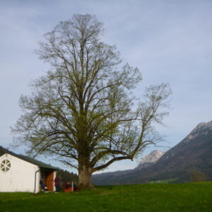 Brennerkapelle